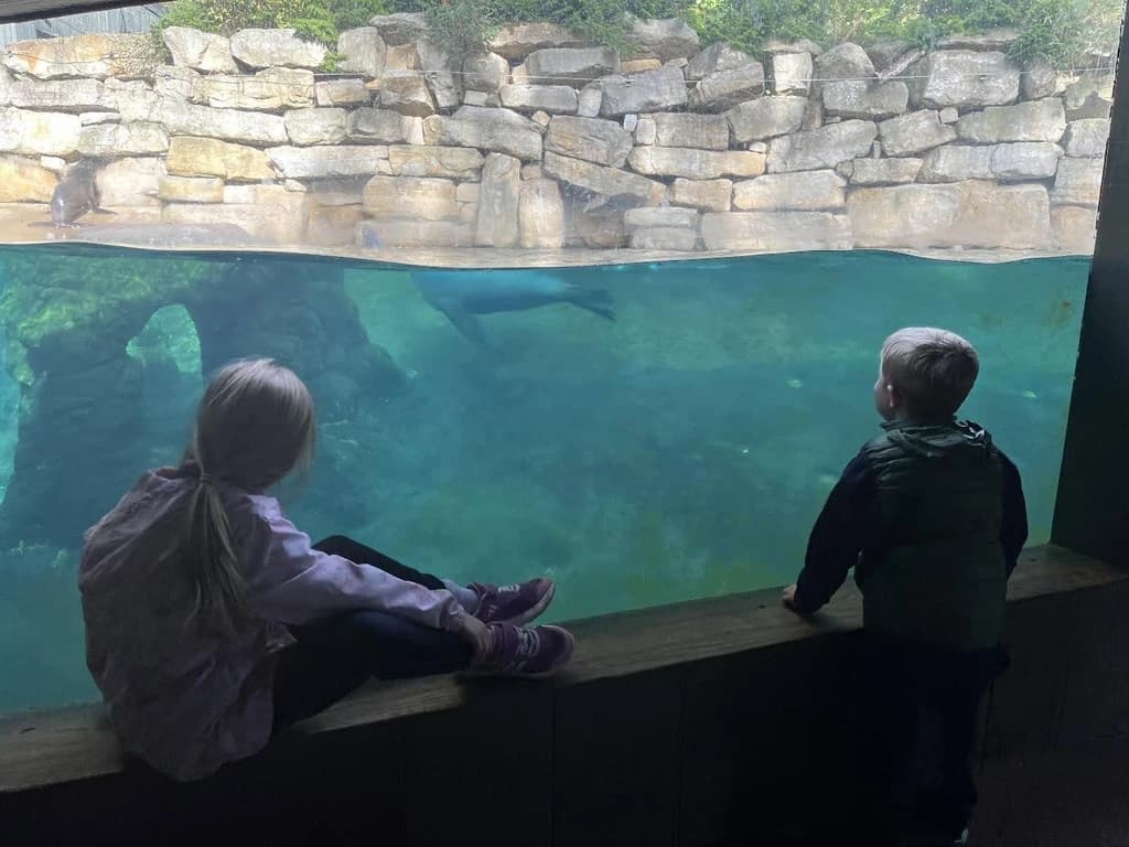 st-pauls-children-aquarium